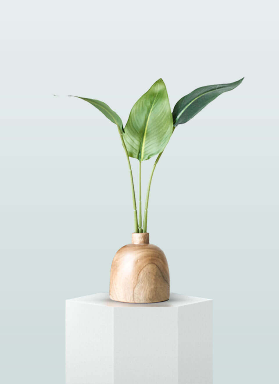 flower-008-a.jpg flower 008 a.jpg