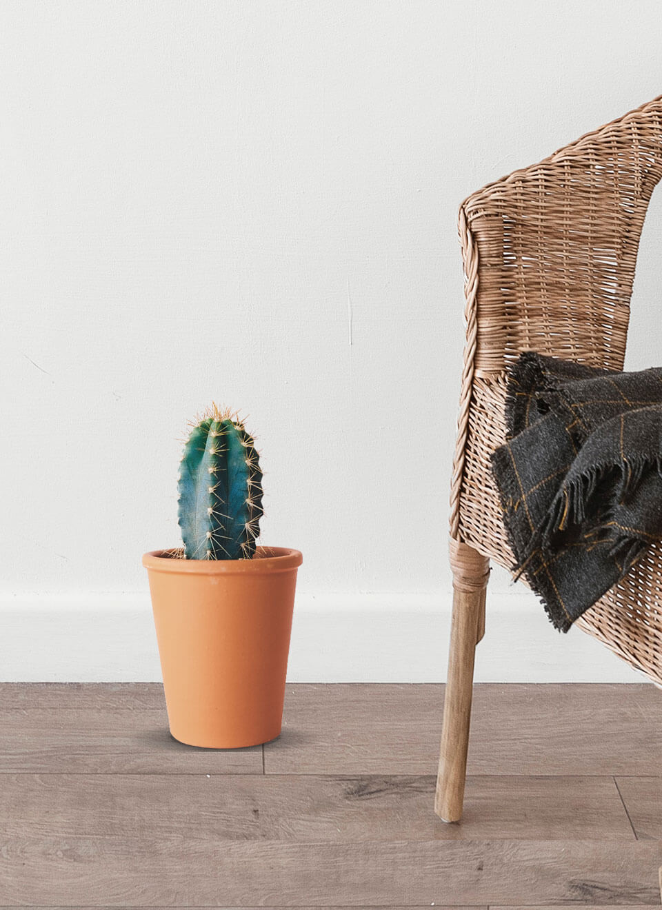 flower-01-b.jpg flower 01 b.jpg