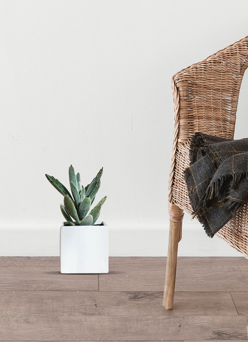 flower-02-b.jpg flower 02 b.jpg