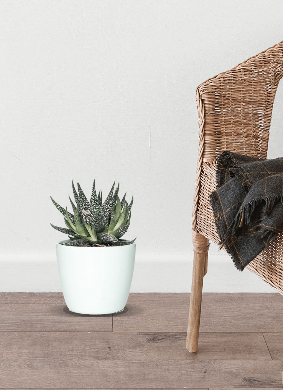 flower-07-b.jpg flower 07 b.jpg