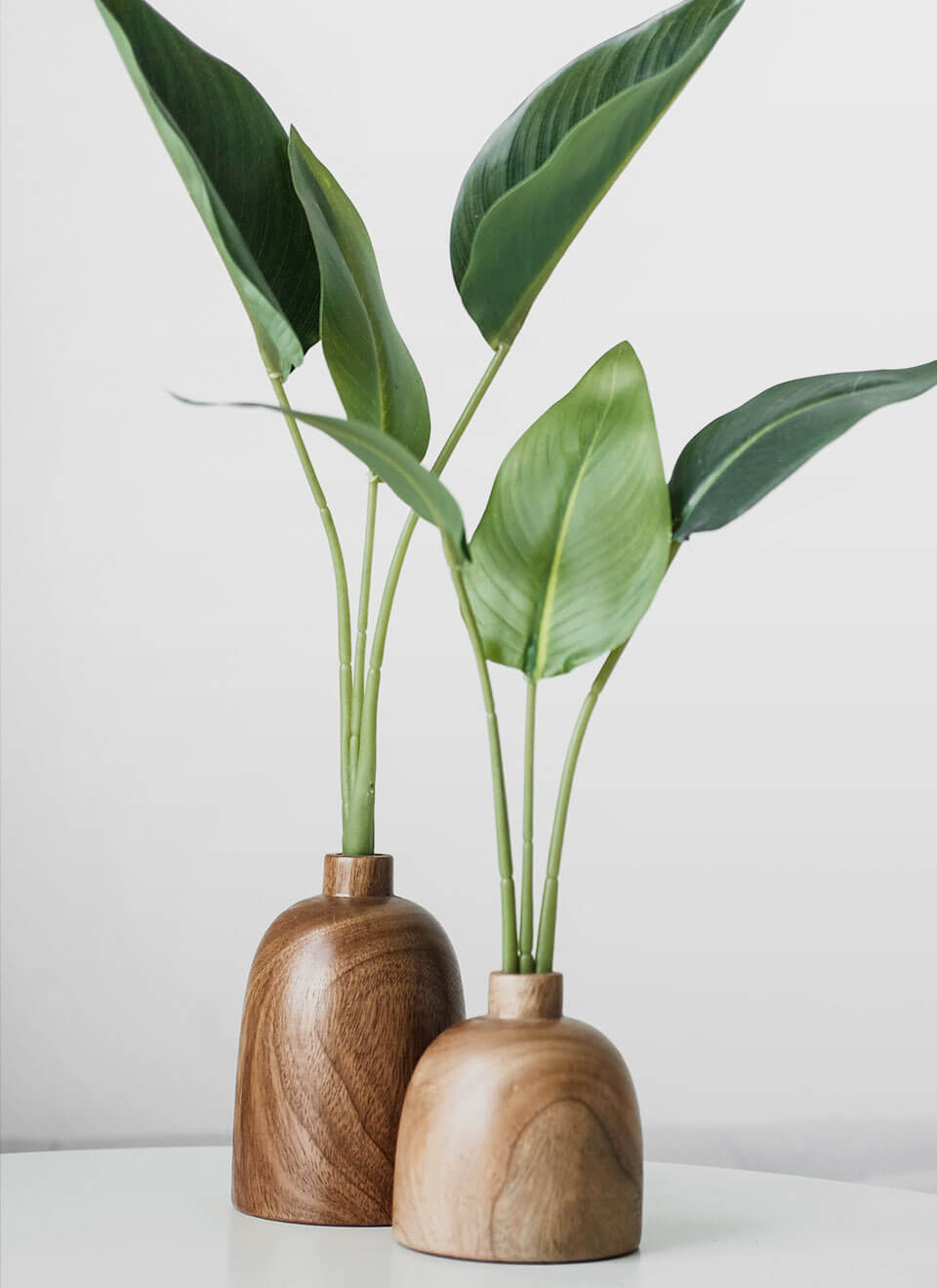 flower-08-c.jpg flower 08 c.jpg