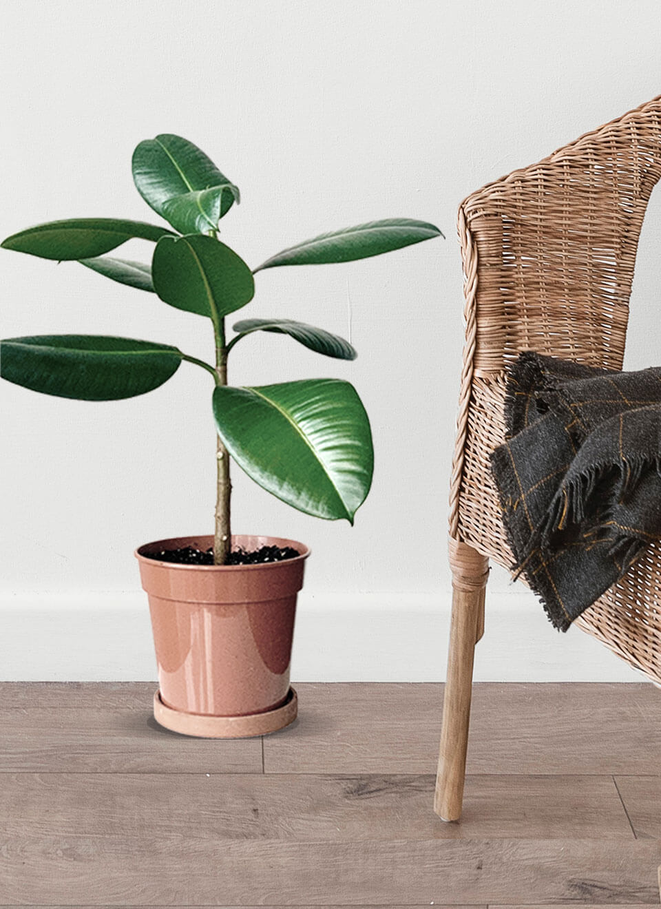 flower-09-b.jpg flower 09 b.jpg